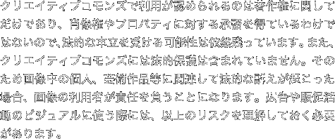 クリエイティブコモンズで利用が認められるのは著作権に関してだけであり、肖像権やプロパティに対する承諾を得ているわけではないので、法的な申立を受ける可能性は依然残っています。また、クリエイティブコモンズには法的保護は含まれていません。そのため画像中の個人、芸術作品等に関連して法的な訴えが起こった場合、画像の利用者が責任を負うことになります。広告や販促活動のビジュアルに使う際には、以上のリスクを理解しておく必要があります。